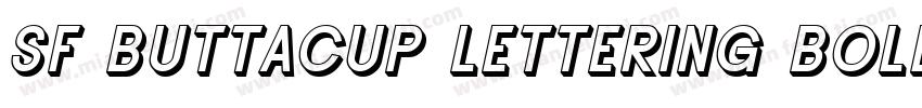 SF Buttacup Lettering Bold Oblique字体转换